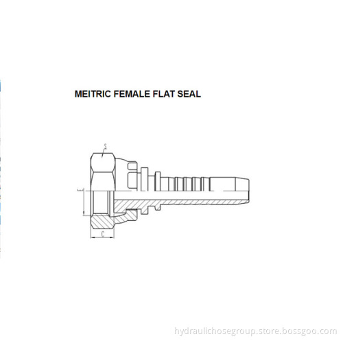 Metric Female Flat Seal 20211